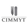 CIMMYT logo