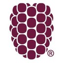 Dewberry logo