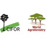 CIFOR-ICRAF logo