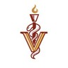 Veritas Veterinary Partners logo