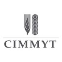 CIMMYT logo